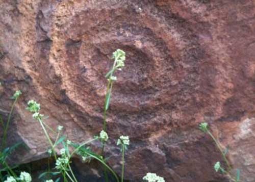 Grace Welker My Rock Art Mystery Sun Spiral